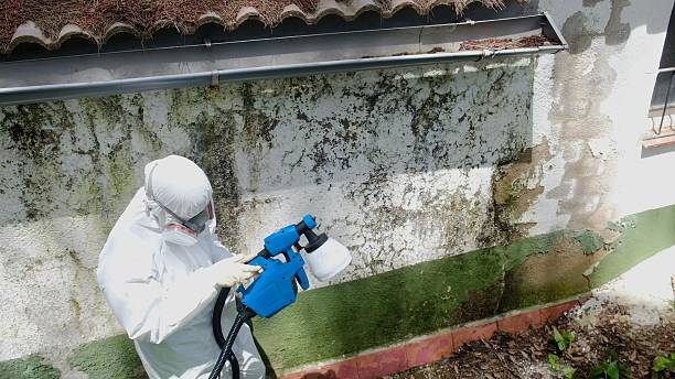 Trusted Bathroom Mold Removal service in Painter, VA - Cheap Mold Removal